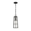 Z-Lite Helix 1 Light Outdoor Chain Mount Ceiling Fixture, Black And Clear Seedy 591CHB-BK